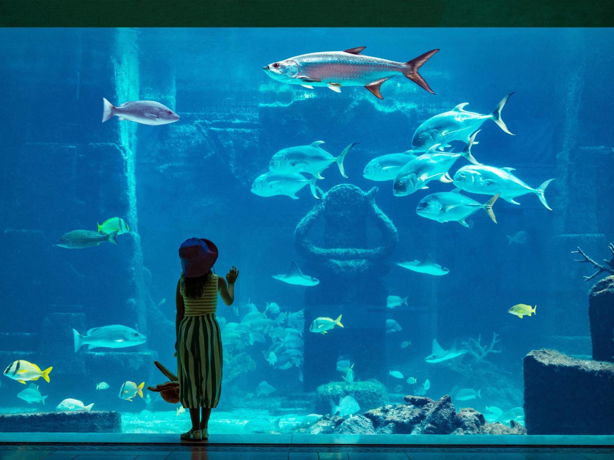 Hotel The Royal At Atlantis Creek Village Esterno foto